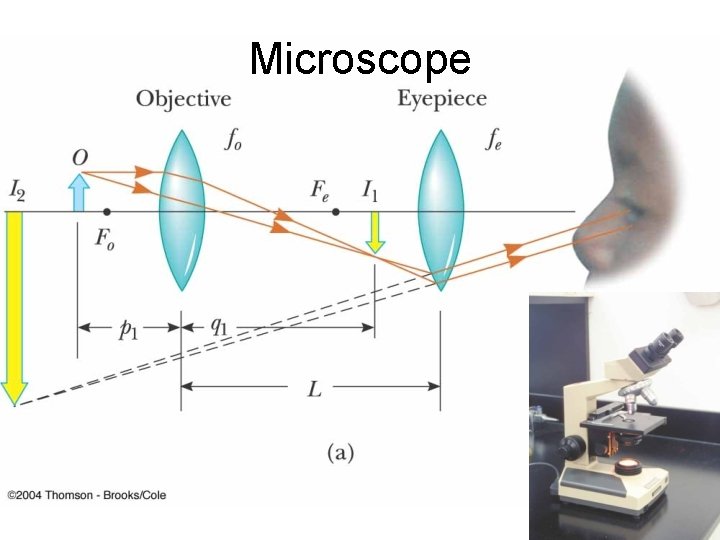 Microscope Fig 36 -44 a, p. 1161 