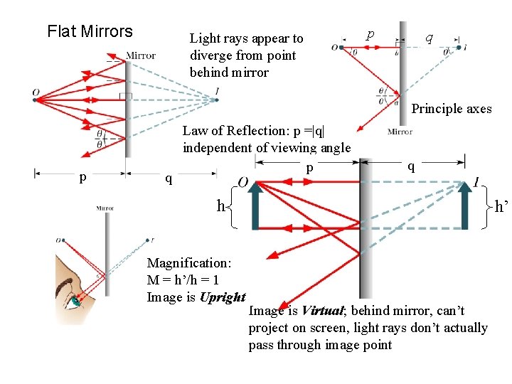 Flat Mirrors Light rays appear to diverge from point behind mirror p q Principle