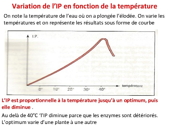 Variation de l’IP en fonction de la température On note la température de l’eau