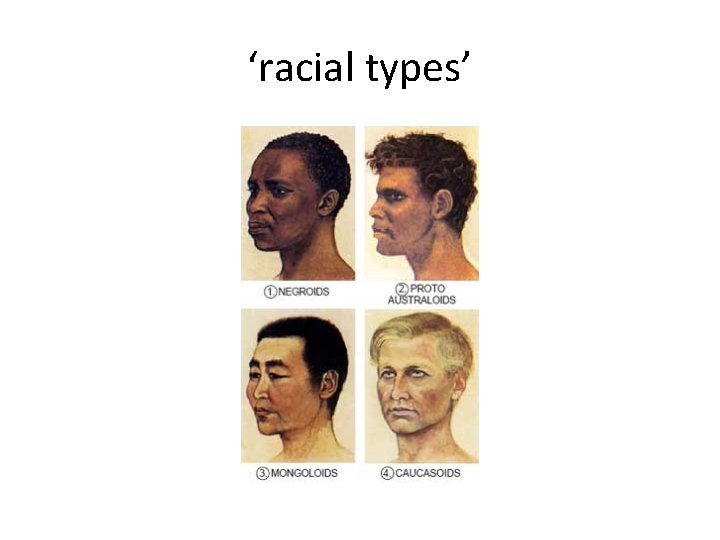 ‘racial types’ 