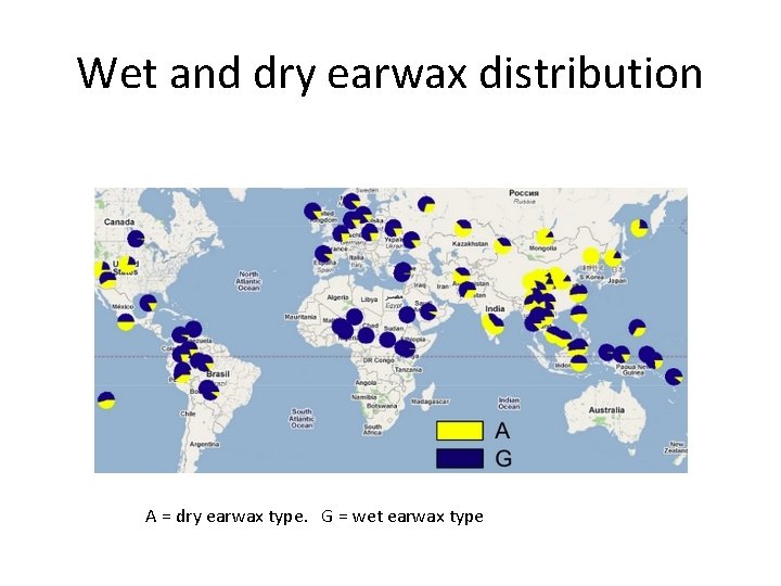 Wet and dry earwax distribution A = dry earwax type. G = wet earwax