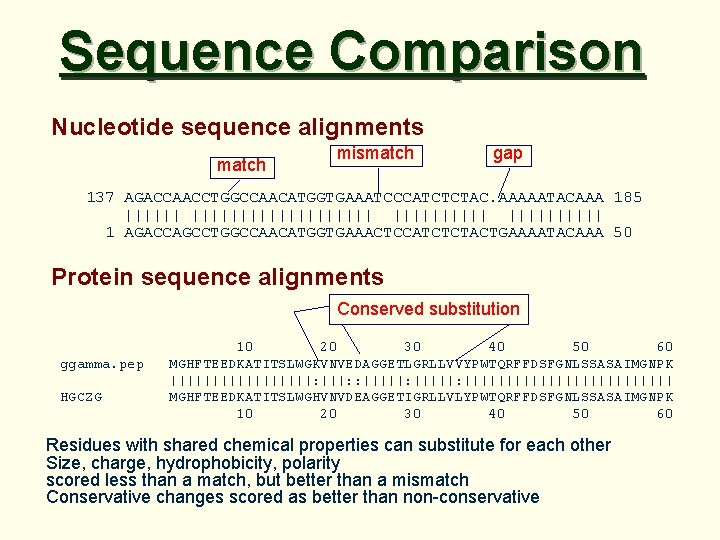 Sequence Comparison Nucleotide sequence alignments match mismatch gap 137 AGACCAACCTGGCCAACATGGTGAAATCCCATCTCTAC. AAAAATACAAA 185 ||||||||||||| 1