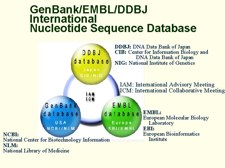 Gen. Bank/EMBL/DDBJ International Nucleotide Sequence Database DDBJ: DNA Data Bank of Japan CIB: Center