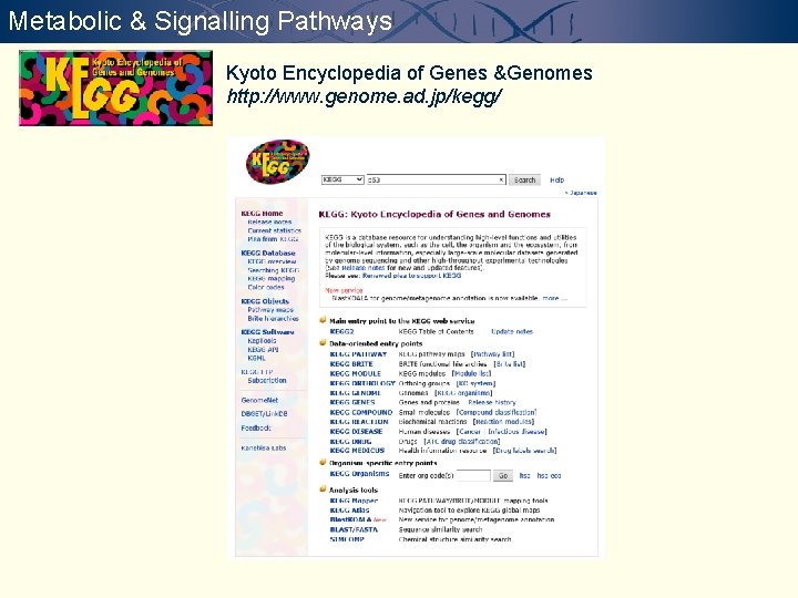 Metabolic & Signalling Pathways Kyoto Encyclopedia of Genes &Genomes http: //www. genome. ad. jp/kegg/
