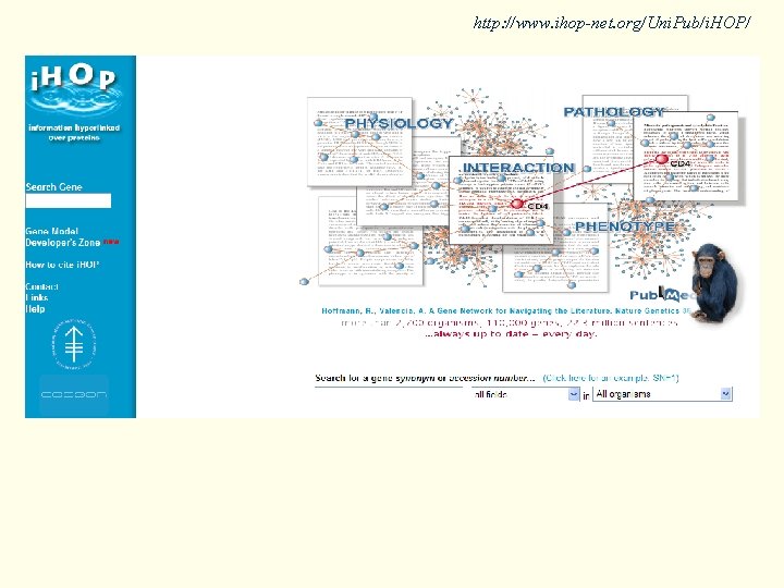 http: //www. ihop-net. org/Uni. Pub/i. HOP/ 