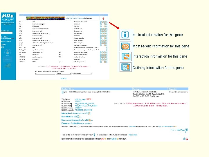 Minimal information for this gene Most recent information for this gene Interaction information for