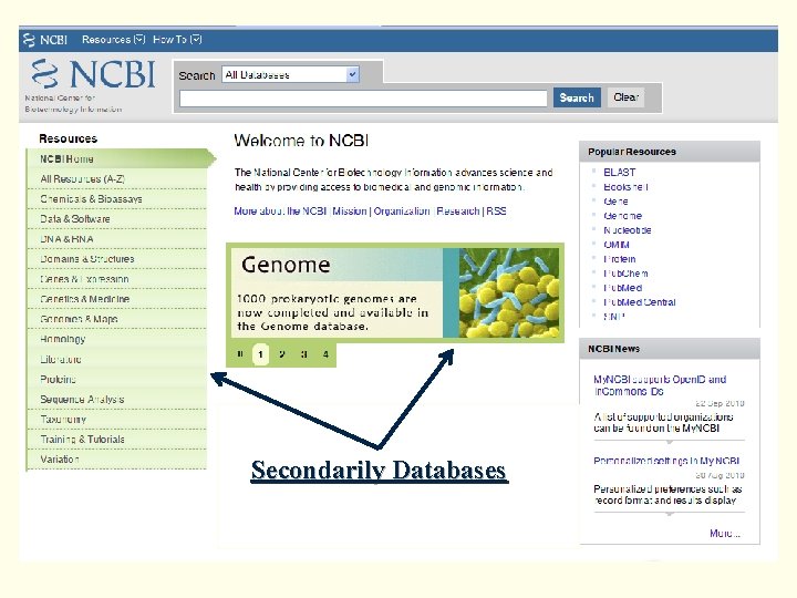 Secondarily Databases 