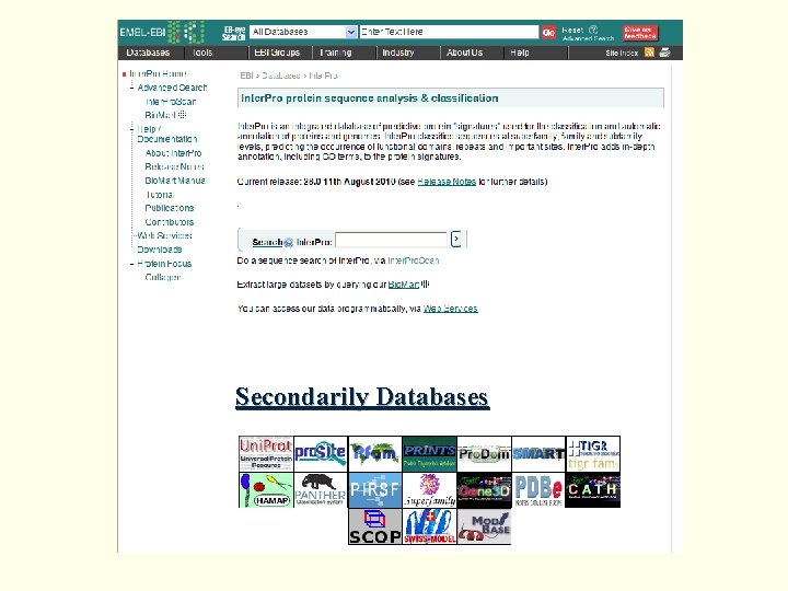 Secondarily Databases 