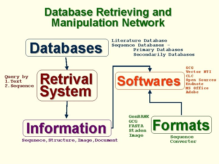 Database Retrieving and Manipulation Network Databases Query by 1. Text 2. Sequence Retrival System