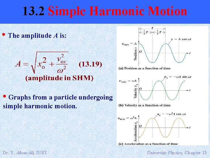 13. 2 Simple Harmonic Motion • The amplitude A is: • Graphs from a