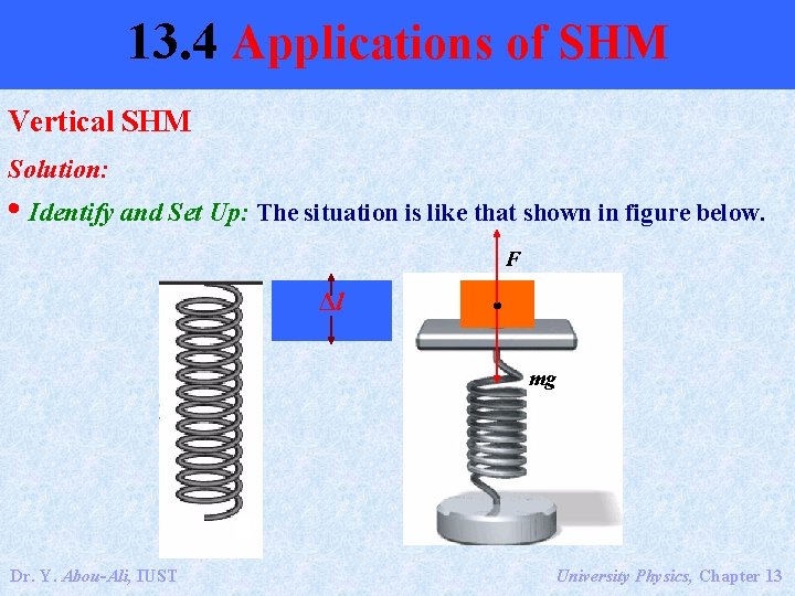 13. 4 Applications of SHM Vertical SHM Solution: • Identify and Set Up: The
