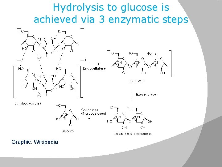 Hydrolysis to glucose is achieved via 3 enzymatic steps Graphic: Wikipedia 