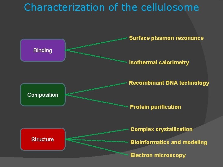 Characterization of the cellulosome Surface plasmon resonance Binding Isothermal calorimetry Recombinant DNA technology Composition