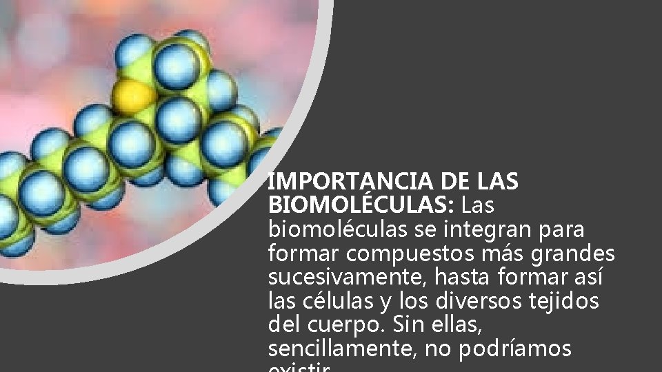 IMPORTANCIA DE LAS BIOMOLÉCULAS: Las biomoléculas se integran para formar compuestos más grandes sucesivamente,
