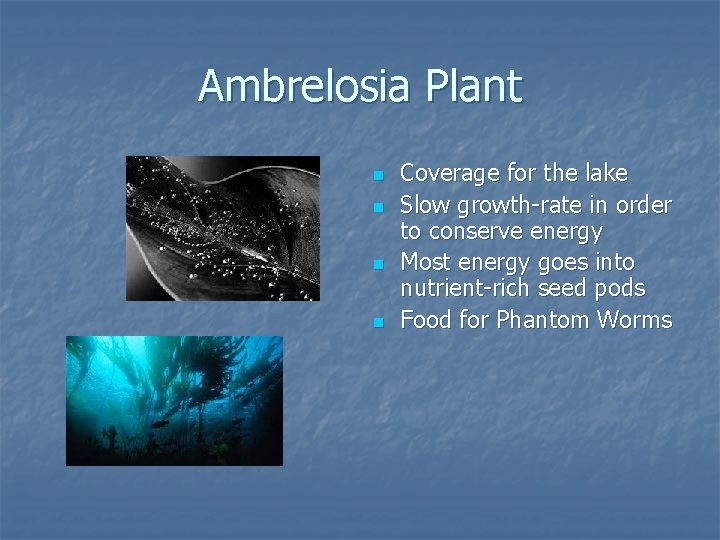 Ambrelosia Plant n n Coverage for the lake Slow growth-rate in order to conserve