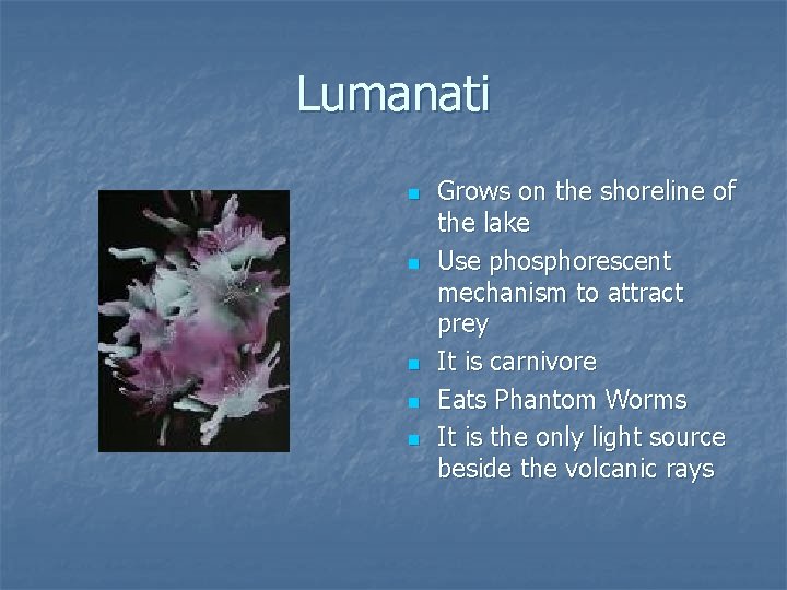 Lumanati n n n Grows on the shoreline of the lake Use phosphorescent mechanism