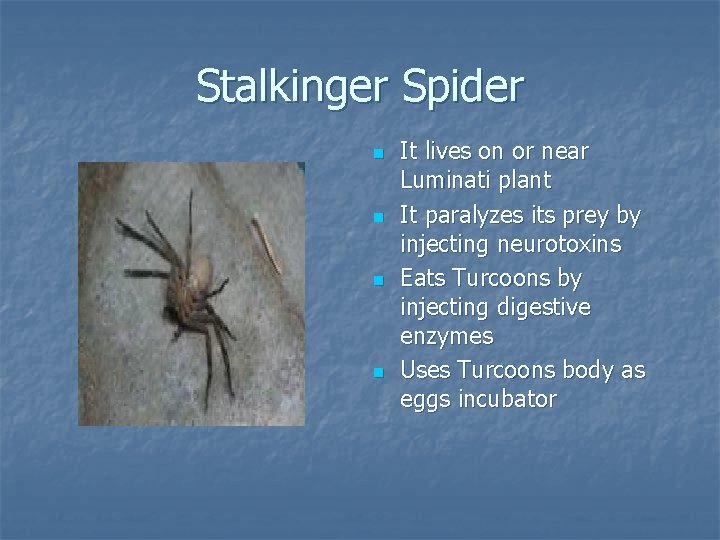 Stalkinger Spider n n It lives on or near Luminati plant It paralyzes its