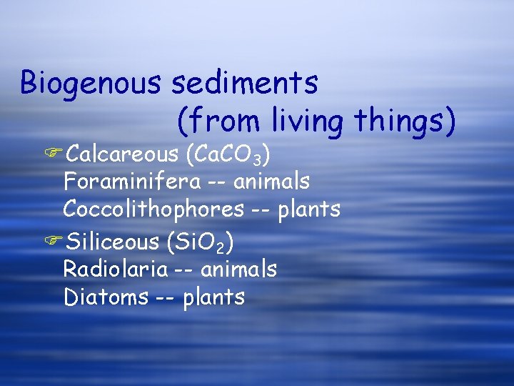 Biogenous sediments (from living things) FCalcareous (Ca. CO 3) Foraminifera -- animals Coccolithophores --