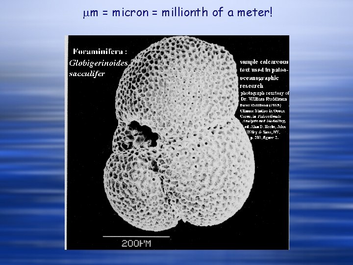 mm = micron = millionth of a meter! 