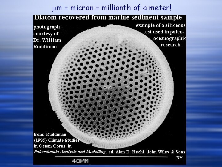 mm = micron = millionth of a meter! 