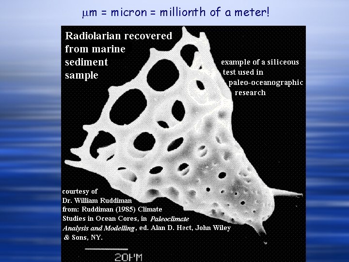 mm = micron = millionth of a meter! 