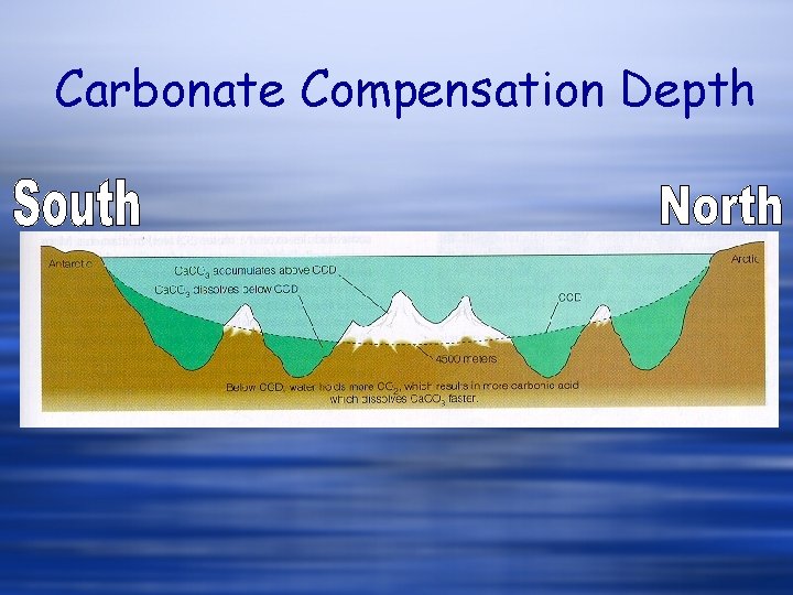 Carbonate Compensation Depth 