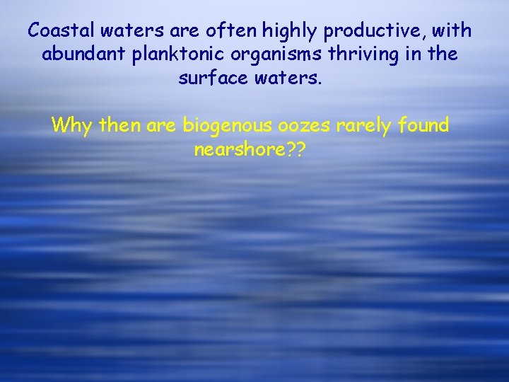 Coastal waters are often highly productive, with abundant planktonic organisms thriving in the surface