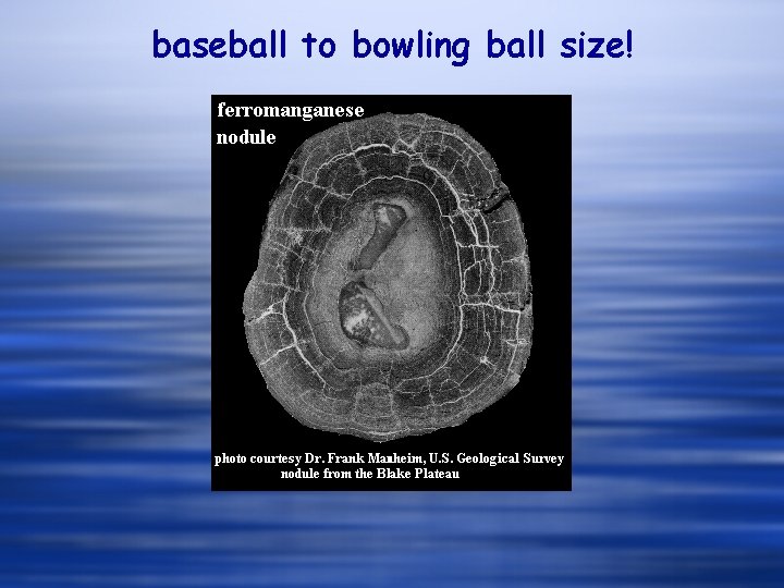 baseball to bowling ball size! 