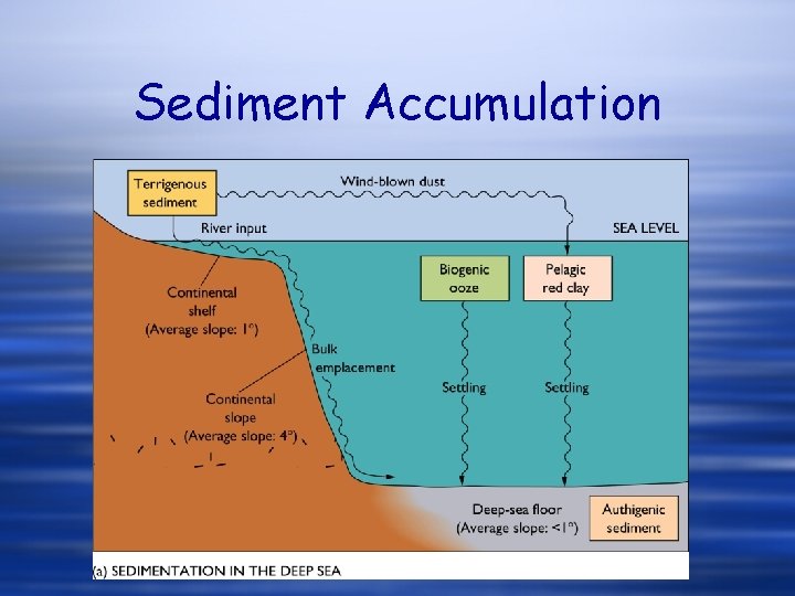 Sediment Accumulation 