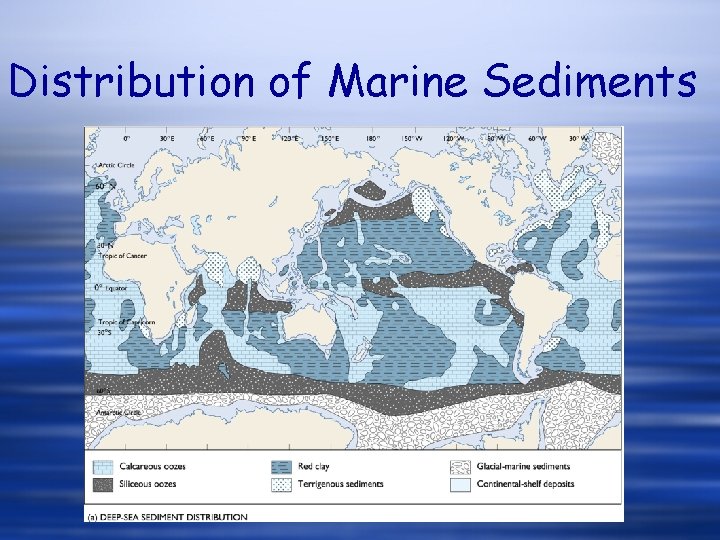 Distribution of Marine Sediments 