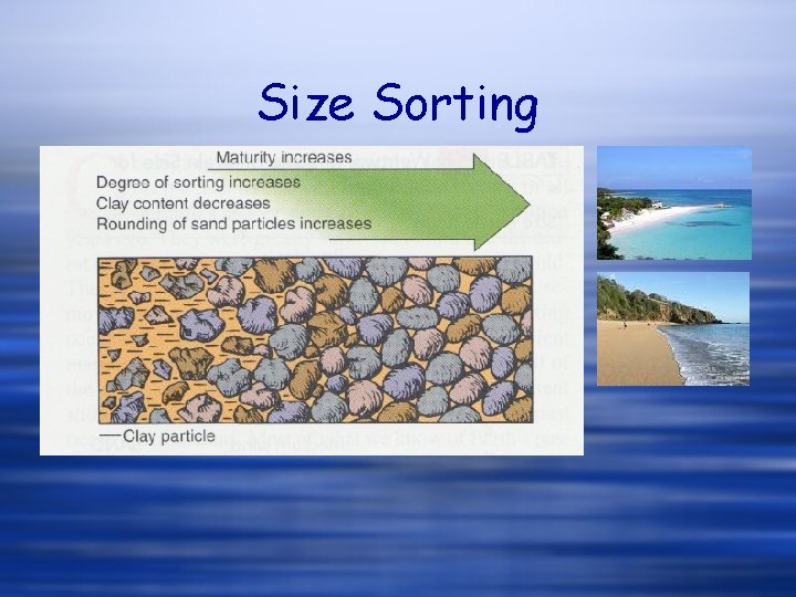 Size Sorting 