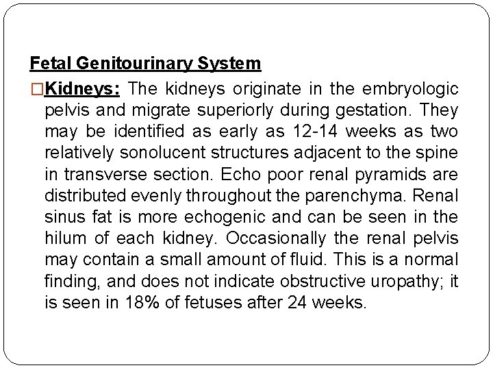 Fetal Genitourinary System �Kidneys: The kidneys originate in the embryologic pelvis and migrate superiorly