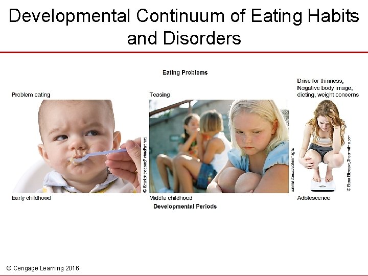 Developmental Continuum of Eating Habits and Disorders © Cengage Learning 2016 