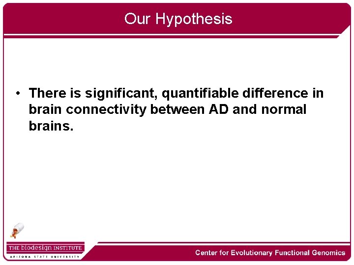 Our Hypothesis • There is significant, quantifiable difference in brain connectivity between AD and