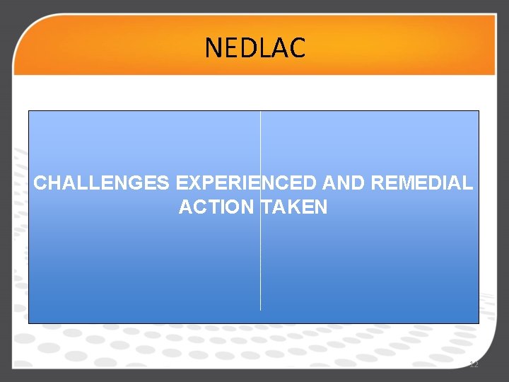 NEDLAC. CHALLENGES EXPERIENCED AND REMEDIAL ACTION TAKEN 12 