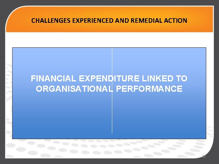 CHALLENGES EXPERIENCED AND REMEDIAL ACTION . FINANCIAL EXPENDITURE LINKED TO ORGANISATIONAL PERFORMANCE 22 
