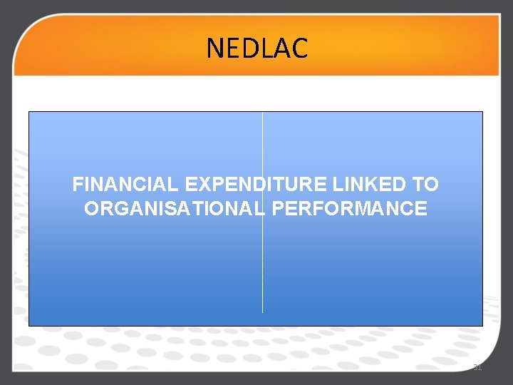 NEDLAC. FINANCIAL EXPENDITURE LINKED TO ORGANISATIONAL PERFORMANCE 31 