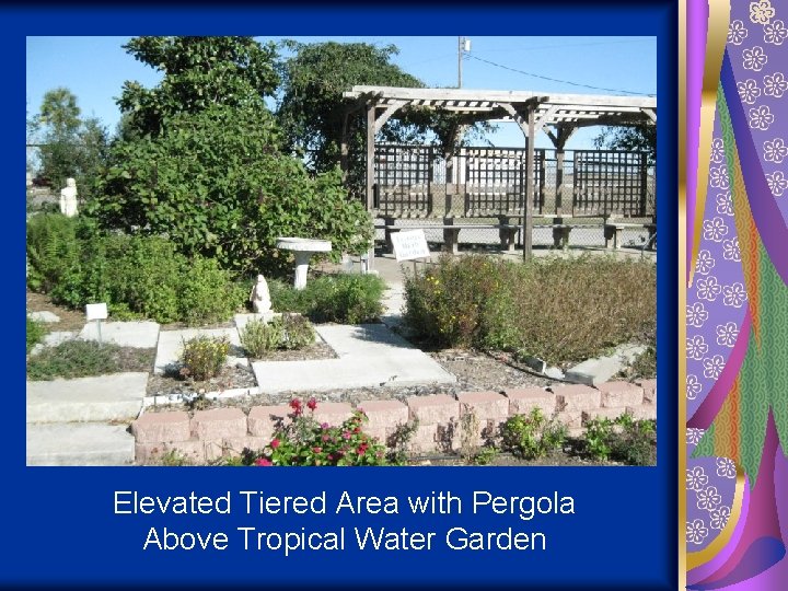 Elevated Tiered Area with Pergola Above Tropical Water Garden 