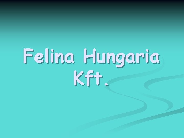 Felina Hungaria Kft. 