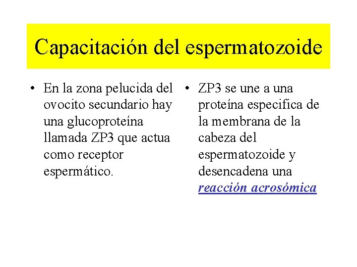 Capacitación del espermatozoide • En la zona pelucida del • ZP 3 se une