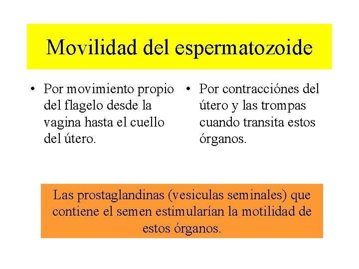 Movilidad del espermatozoide • Por movimiento propio • Por contracciónes del flagelo desde la
