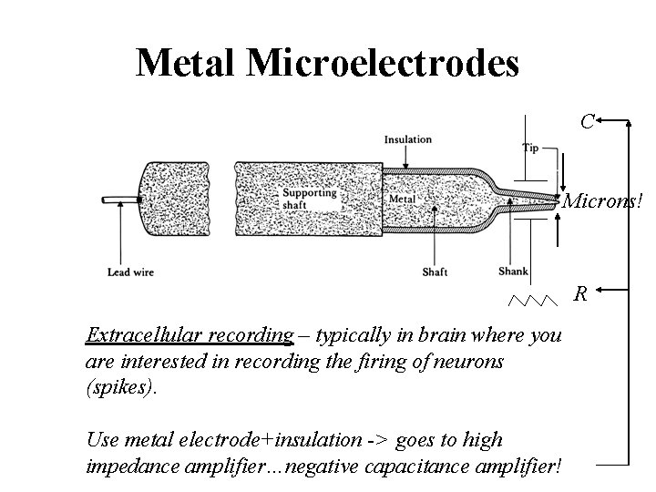 Metal Microelectrodes C Microns! R Extracellular recording – typically in brain where you are