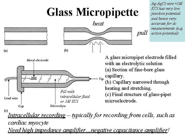 Glass Micropipette heat pull Fill with intracellular fluid or 3 M KCl Ag-Ag. Cl