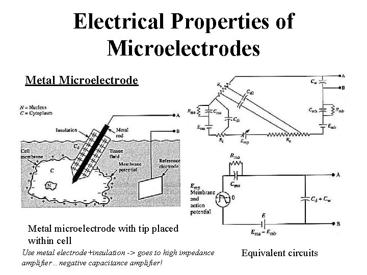 Electrical Properties of Microelectrodes Metal Microelectrode Metal microelectrode with tip placed within cell Use