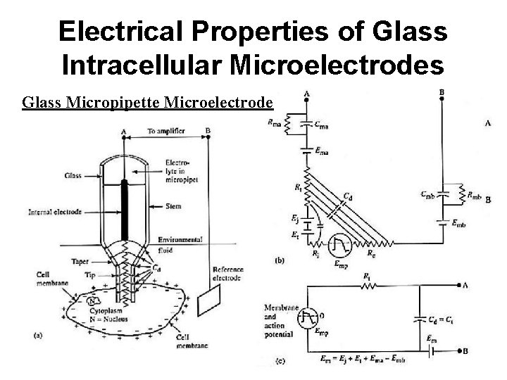 Electrical Properties of Glass Intracellular Microelectrodes Glass Micropipette Microelectrode 