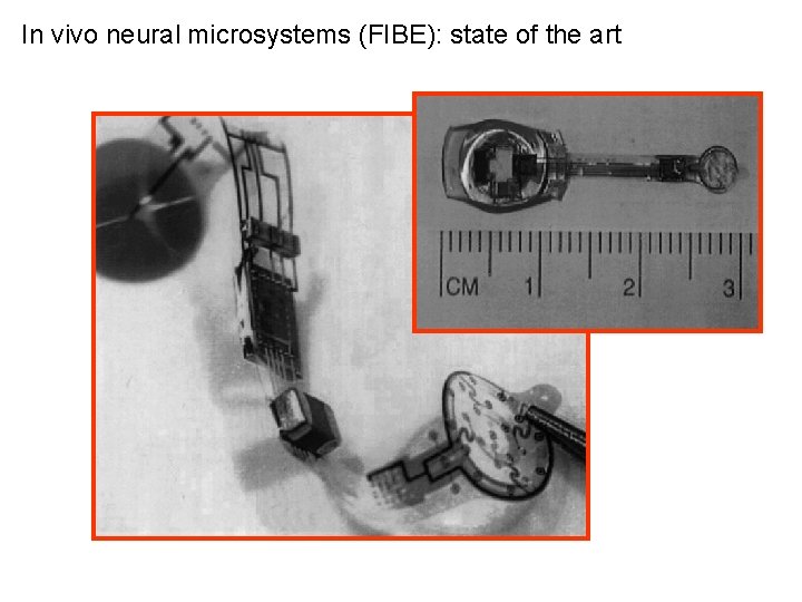 In vivo neural microsystems (FIBE): state of the art 