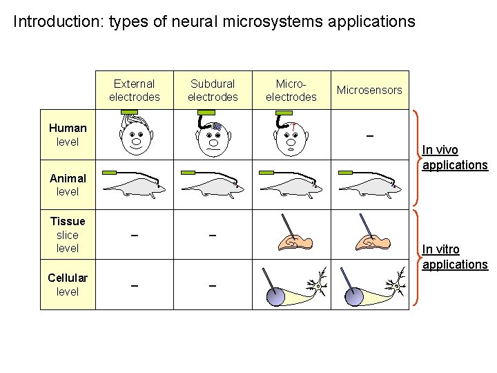 Introduction: types of neural microsystems applications External electrodes Subdural electrodes Human level Microelectrodes Microsensors