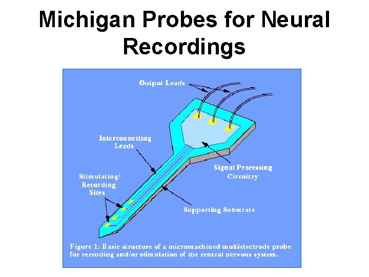 Michigan Probes for Neural Recordings 
