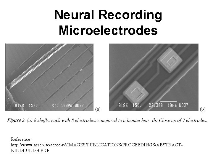 Neural Recording Microelectrodes Reference : http: //www. acreo. se/acreo-rd/IMAGES/PUBLICATIONS/PROCEEDINGS/ABSTRACTKINDLUNDH. PDF 