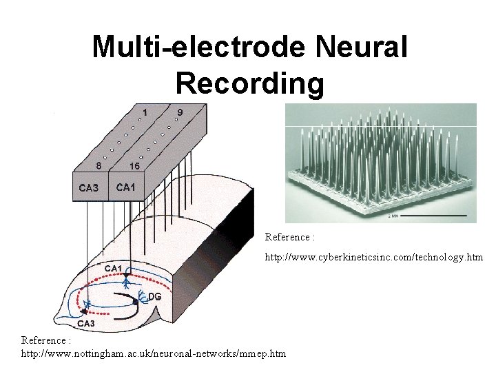 Multi-electrode Neural Recording Reference : http: //www. cyberkineticsinc. com/technology. htm Reference : http: //www.